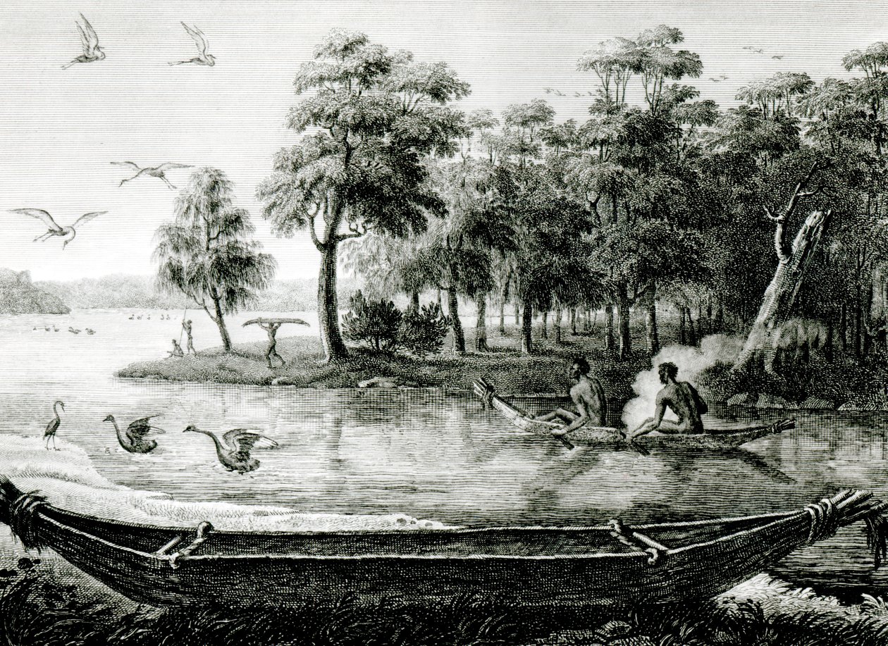 New Holland: New South Wales af Charles Alexandre Lesueur