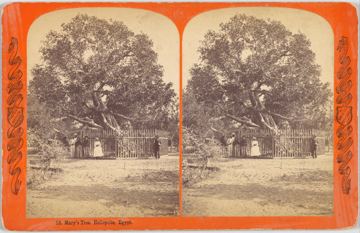 Marys Tree. Heliopolis, Egypten. af Charles Bierstadt