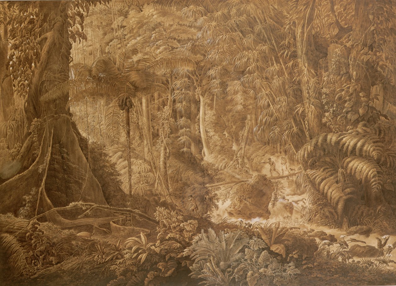 Brasiliansk regnskov, ca. 1819 af Charles Comte de Clarac