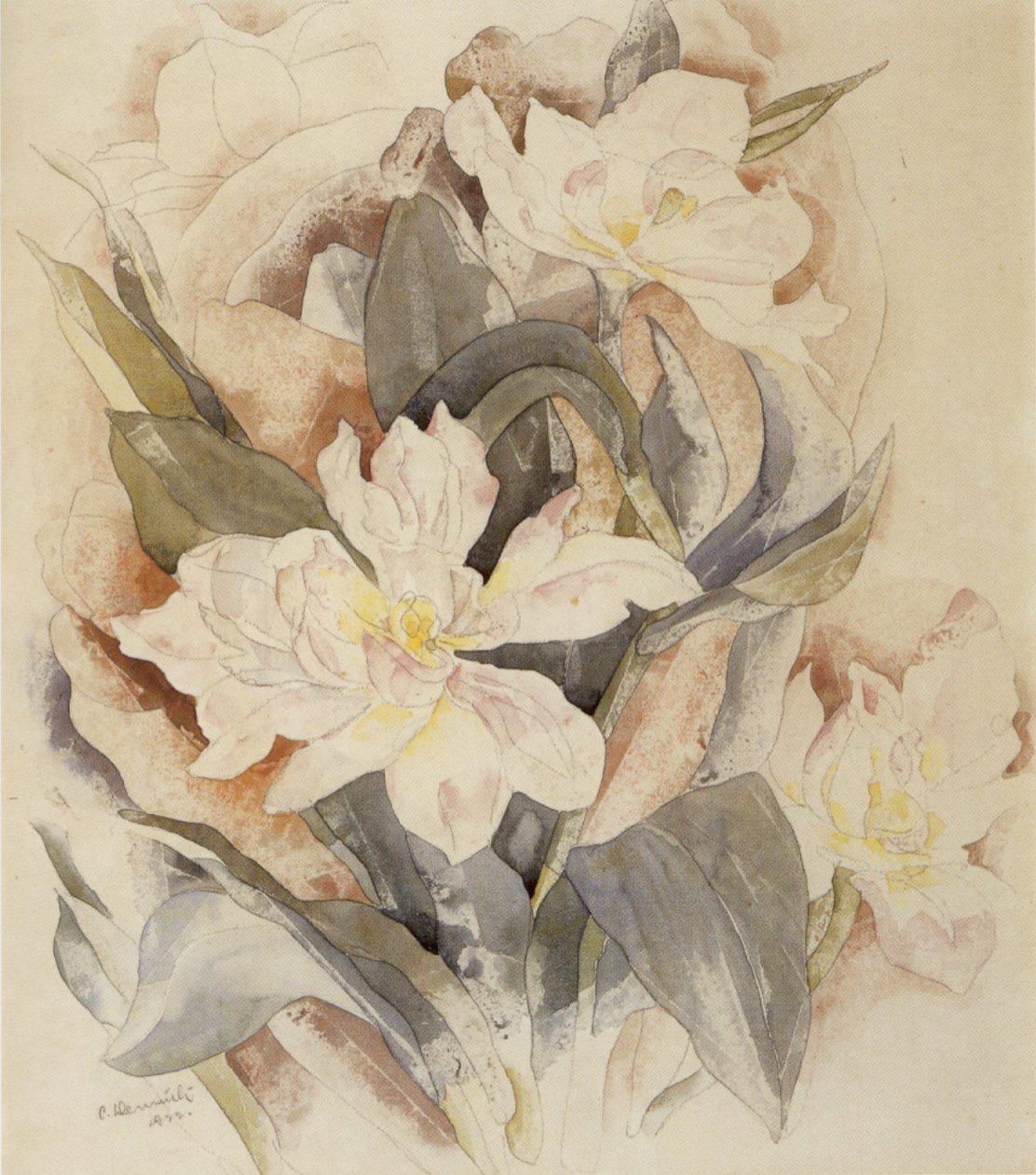 Blomsterundersøgelse af Charles Demuth