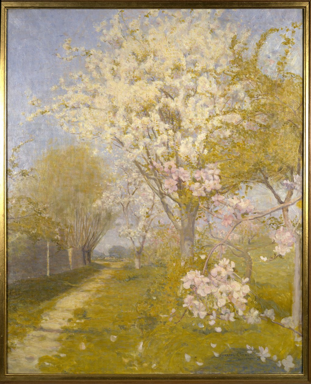 Apple Blossom at Dennemont, 1893 af Charles Edward Conder