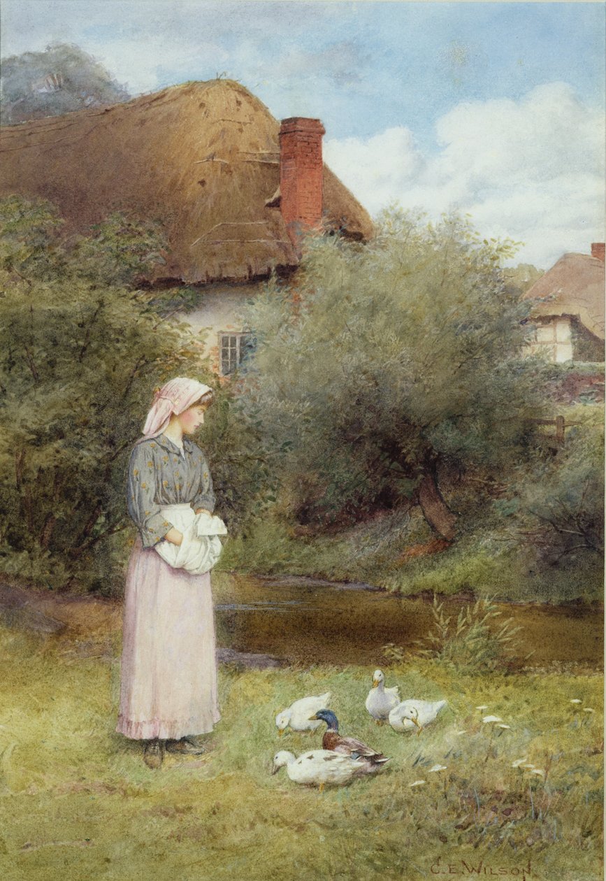 At fodre ænderne af Charles Edward Wilson
