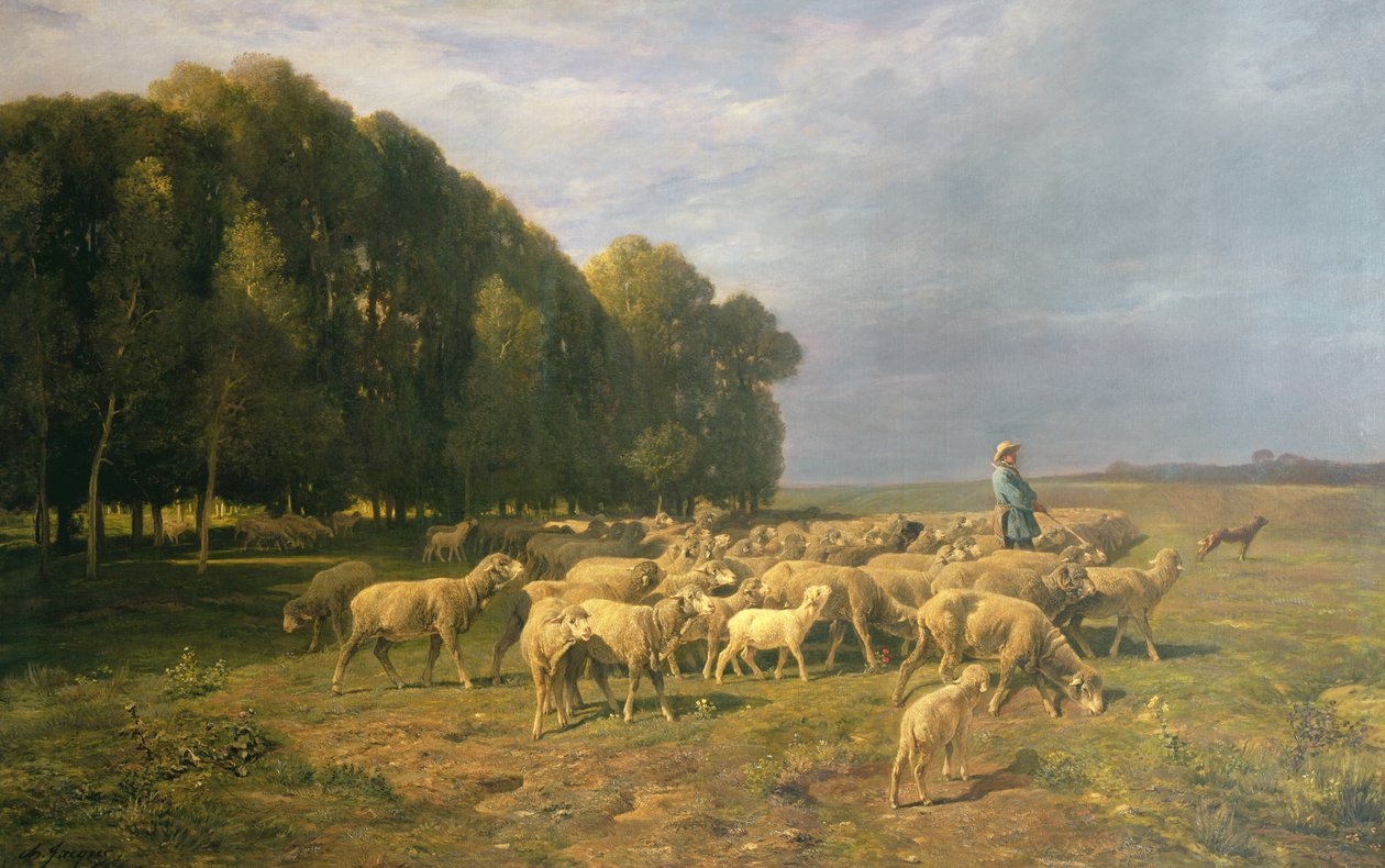 Fåreflok i et landskab af Charles Emile Jacque