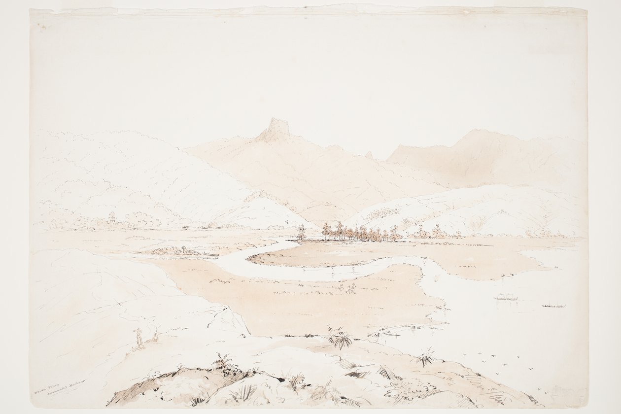 Waiau Valley Coromandel Havn af Charles Heaphy