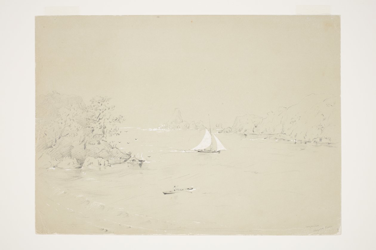 Wangaaihu Wangaroa -kysten af Charles Heaphy