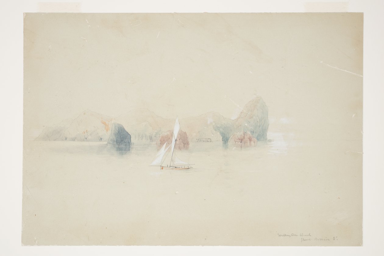 Wellington Head, Great Barrier Id af Charles Heaphy