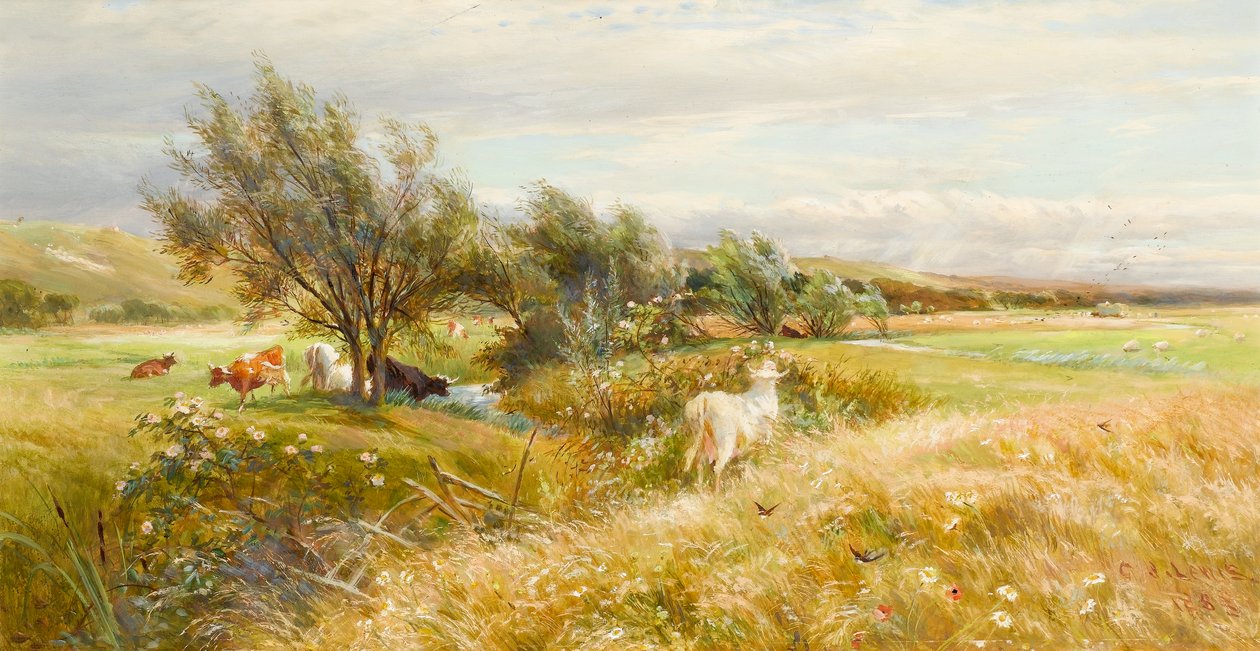 Kvæg på vandet (olie på papir) af Charles James Lewis