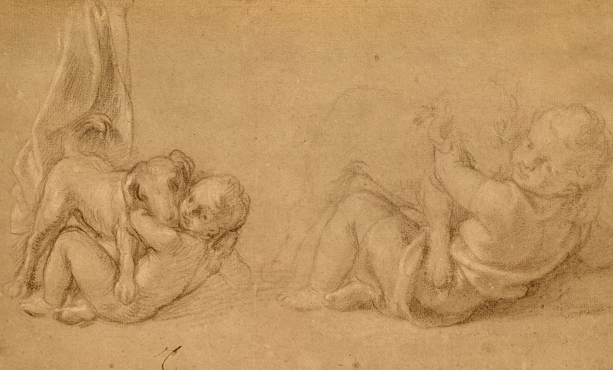 Studie af et barn med en hund (blyant og farveblyant på papir) af Charles Le Brun