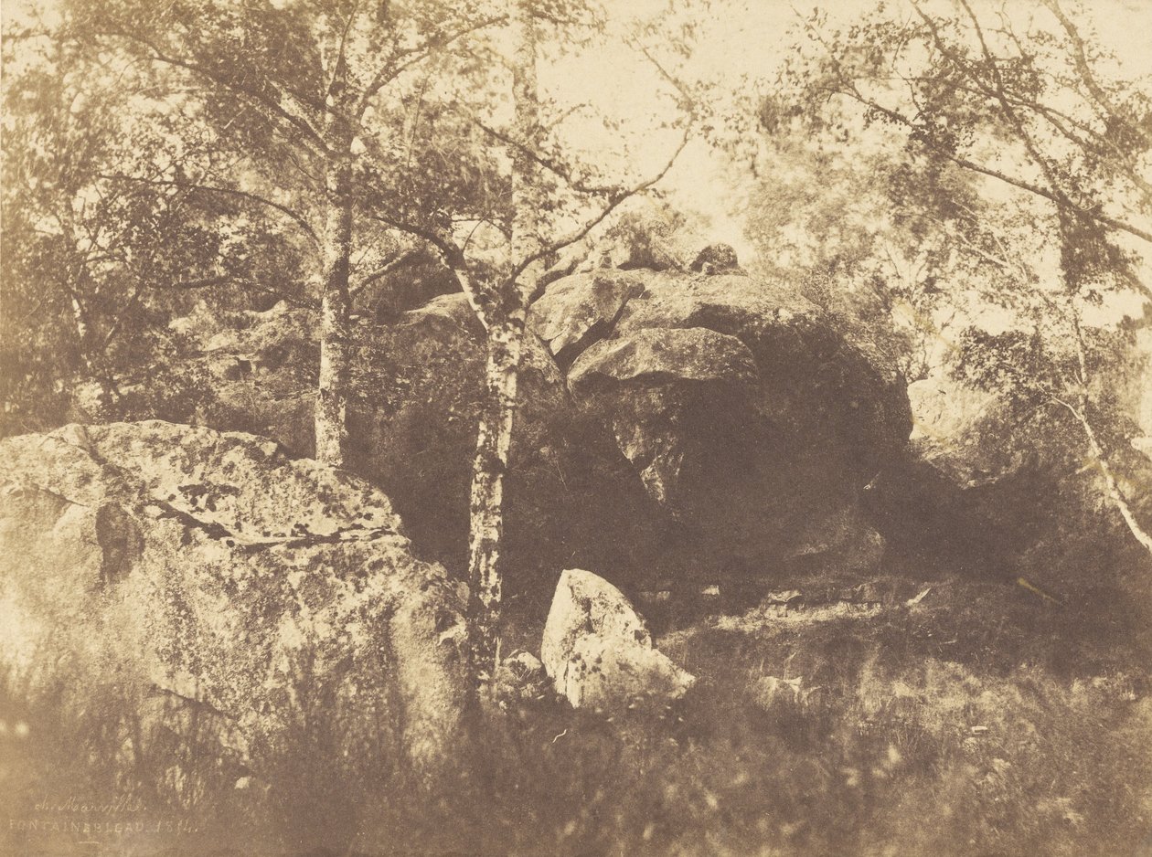Fontainebleau af Charles Marville