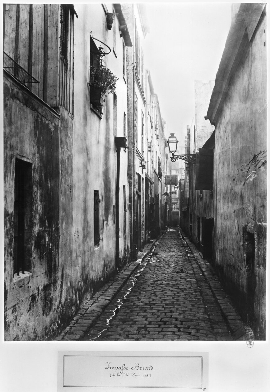 Impasse Briard, fra citat Coquenard, Paris, 1858-78 af Charles Marville