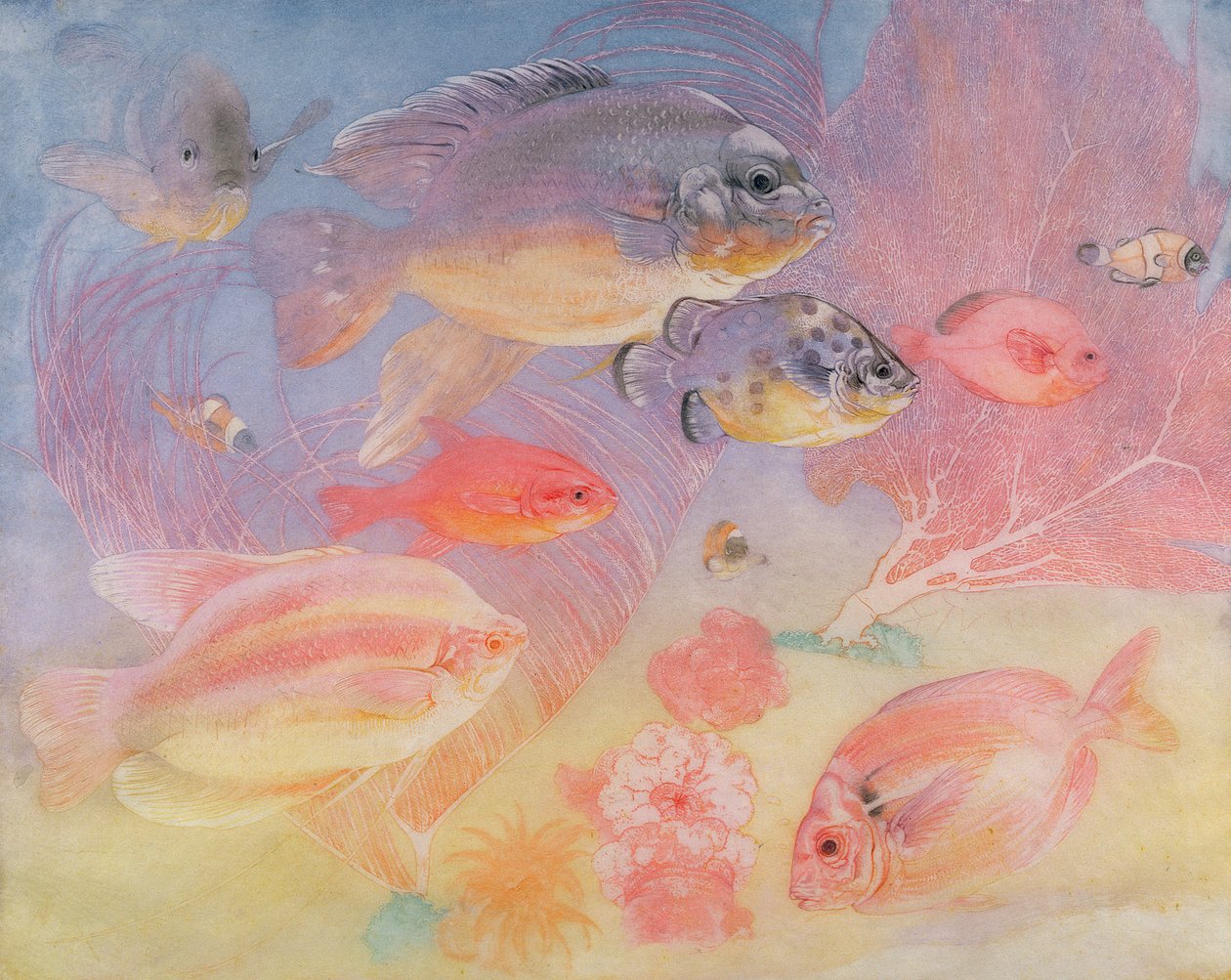 Tropisk fisk af Charles Maurice Detmold