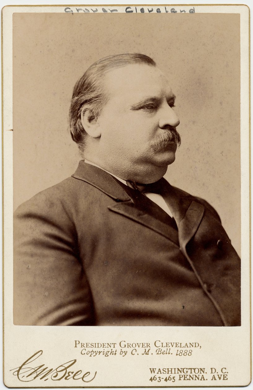 Stephen Grover Cleveland (1837-1908), 22. og 24. præsident for Amerikas Forenede Stater (albumfoto) af Charles Milton Bell