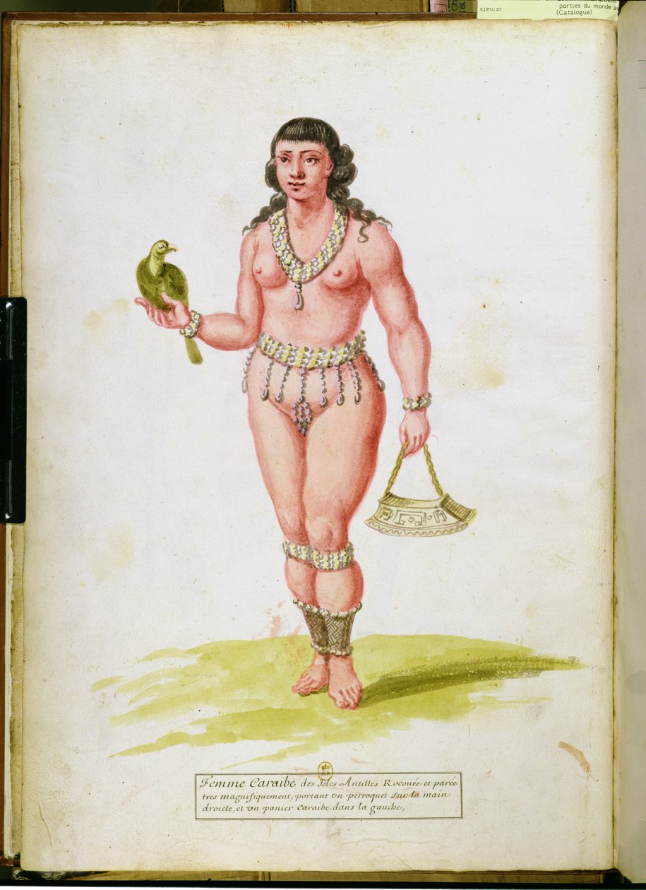 Indfødt i Caribien med en papegøje, fra et manuskript om planter og civilisation på Antillerne, ca. 1686 af Charles Plumier