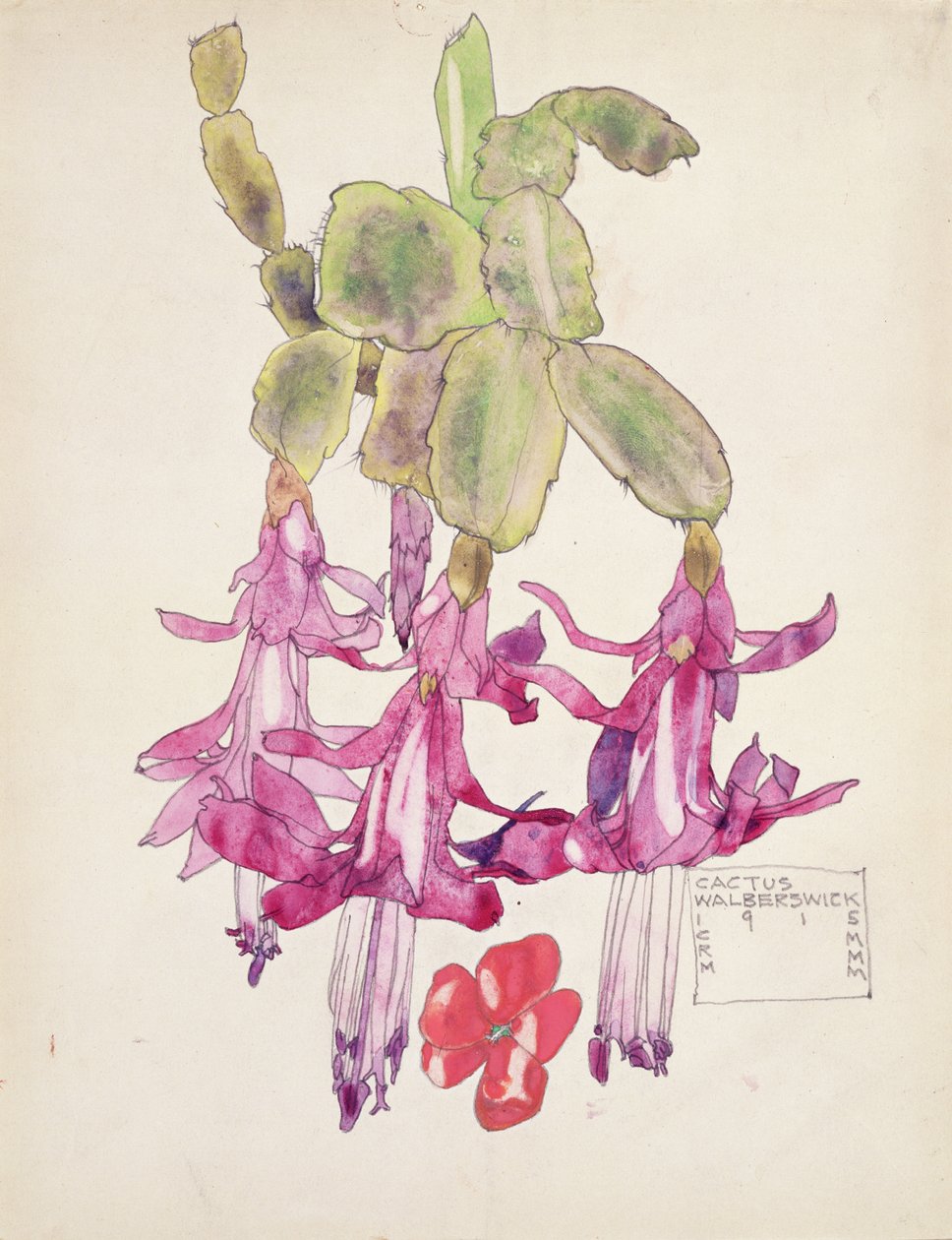 Kaktus blomst af Charles Rennie Mackintosh
