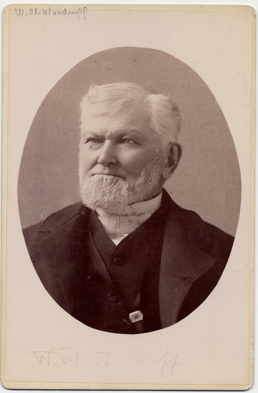 Wilford Woodruff (1807-98), 4. præsident for Jesu Kristi Kirke af Sidste Dages Hellige eller mormoner (albumin print) af Charles Roscoe Savage