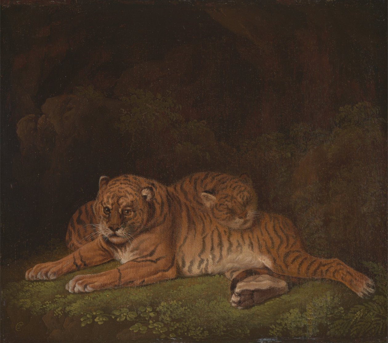 Tigre af Charles Towne