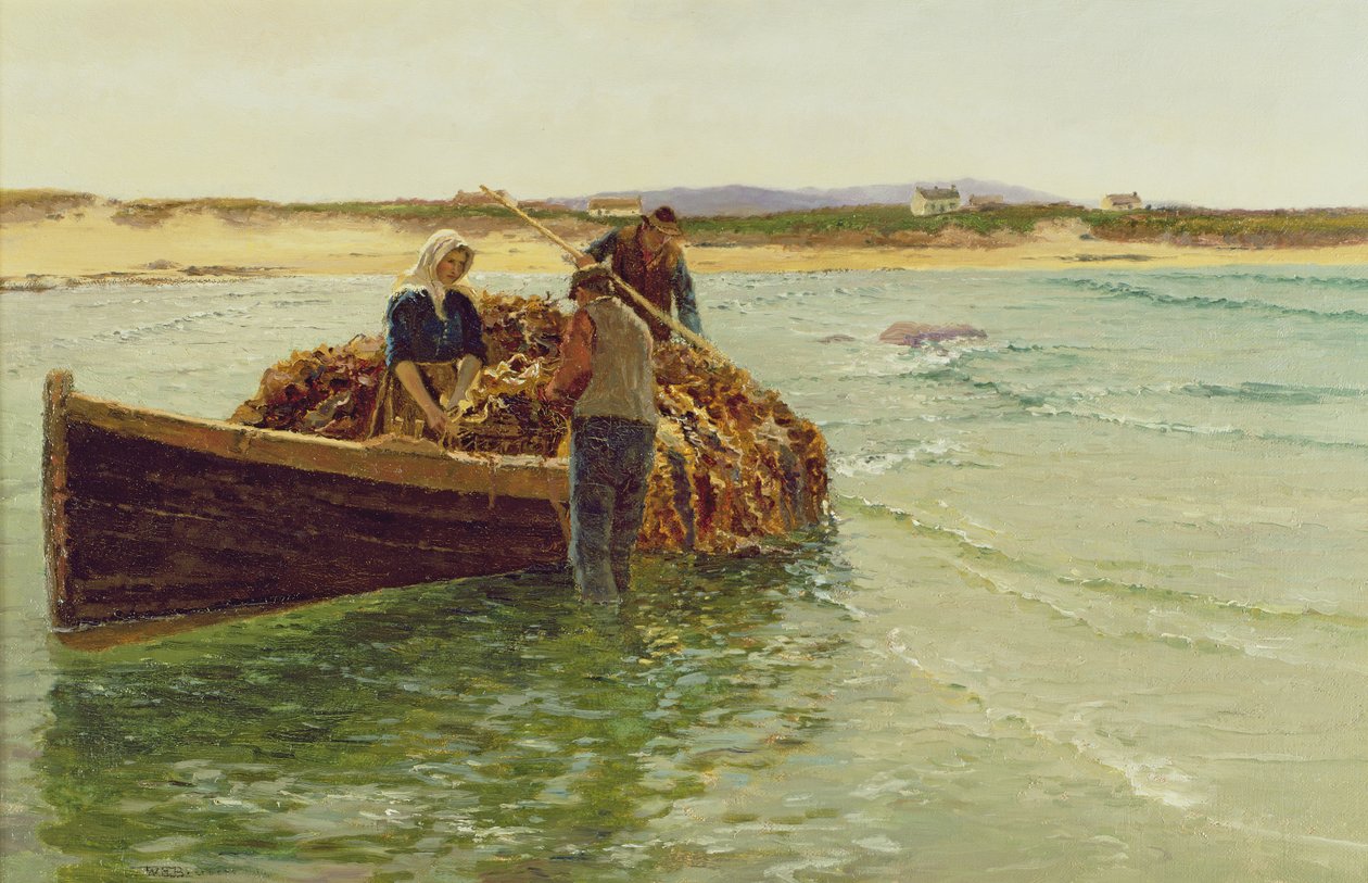 Aflæsning af Kelp Weed af Charles William Bartlett