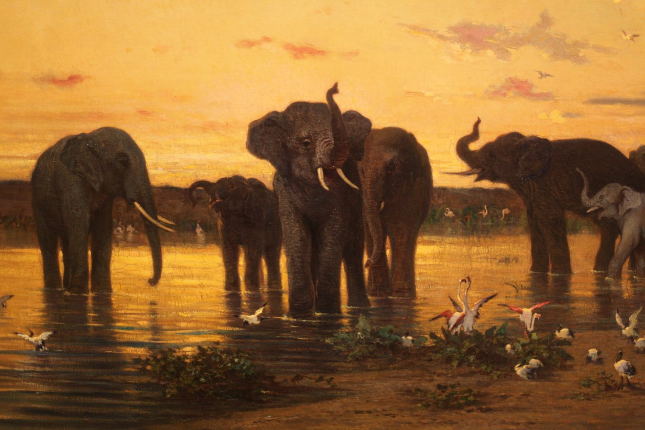 Afrikanske elefanter af Charles Émile de Tournemine