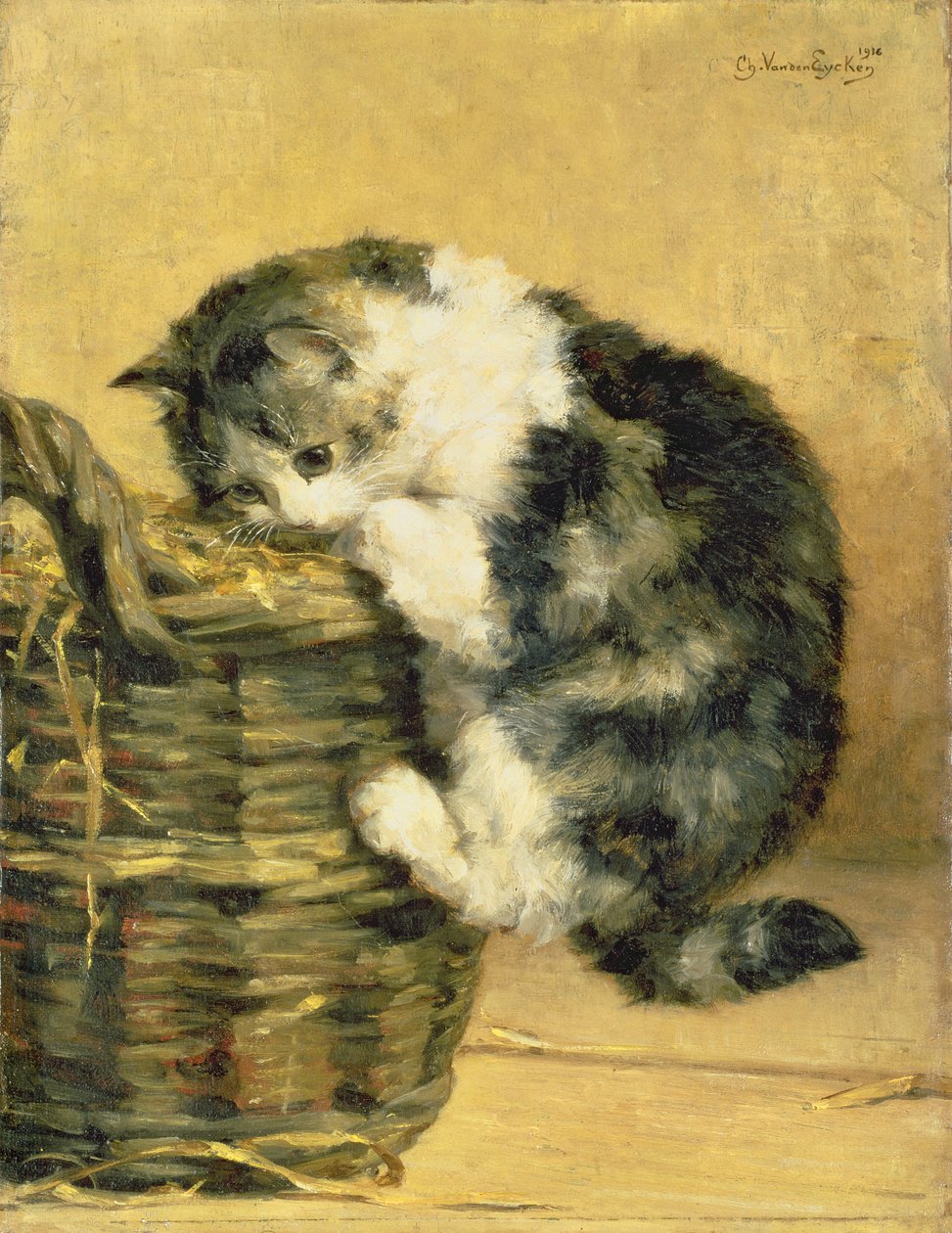 Kat med en kurv af Charles van den Eycken