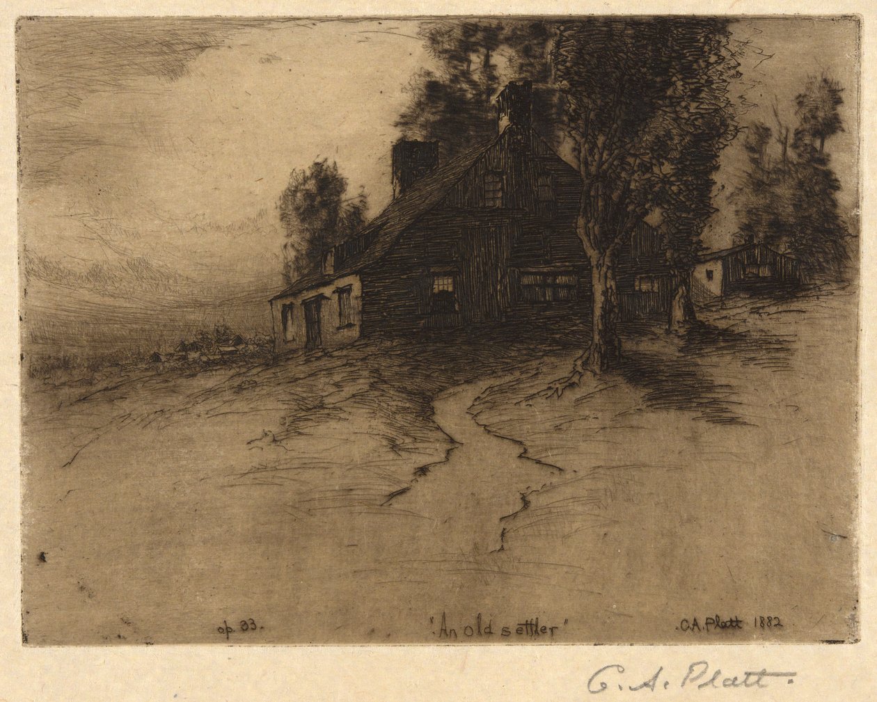 En gammel nybygger af Charles A. Platt