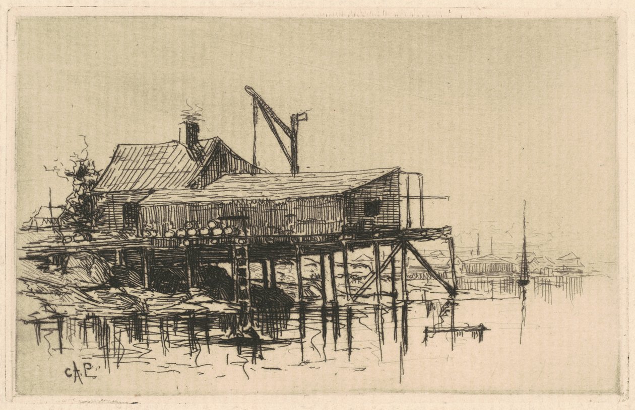 Salt Shanties af Charles A. Platt
