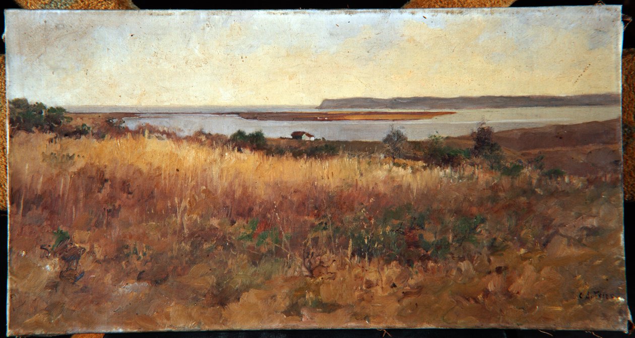 Point Loma fra Logan Heights af Charles Arthur Fries