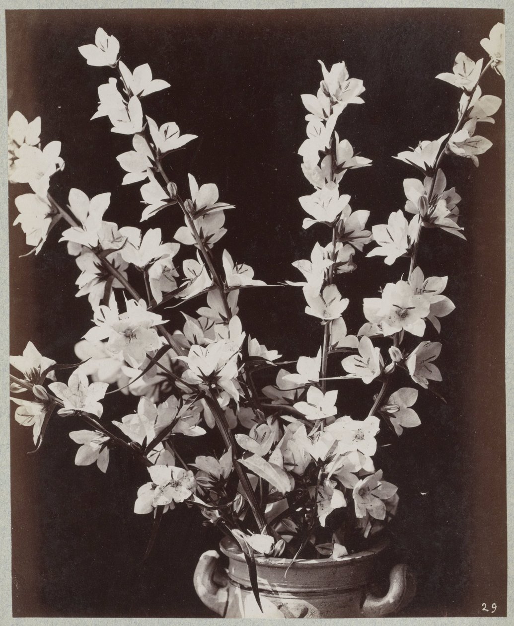 Blomsterstudie med Kölnerpotte af Charles Aubry (manner of)