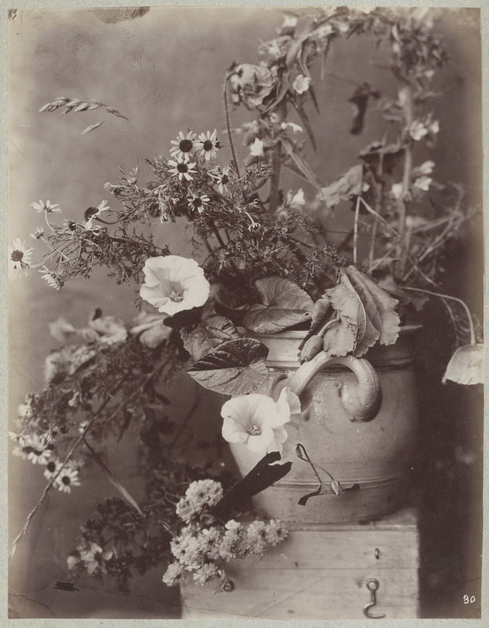 Blomsterstudie med Kölnerpotte på æske af Charles Aubry (manner of)
