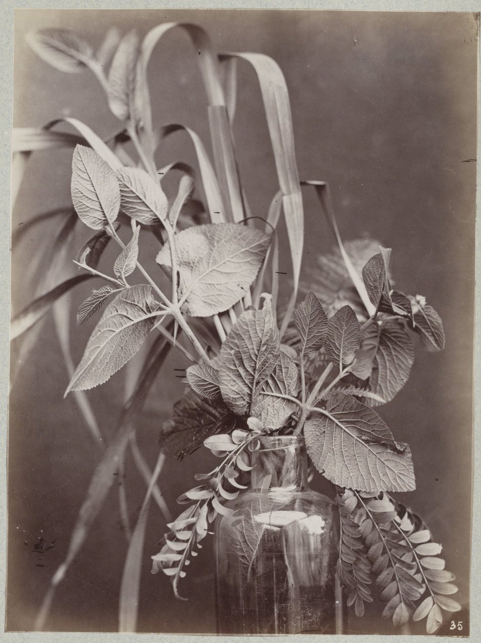 Blomsterstudie med glasflaske af Charles Aubry (manner of)