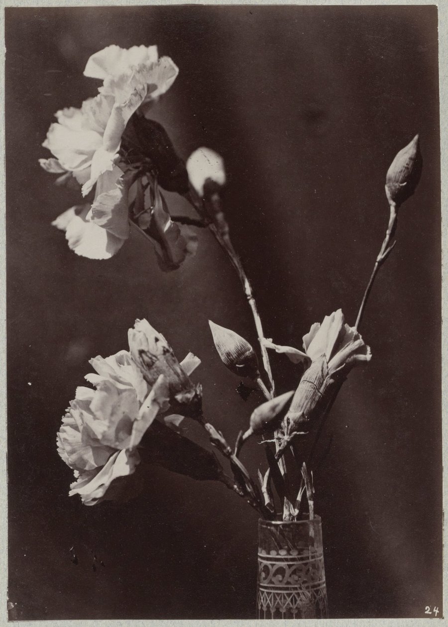 Blomsterstudie med glasvase af Charles Aubry (manner of)