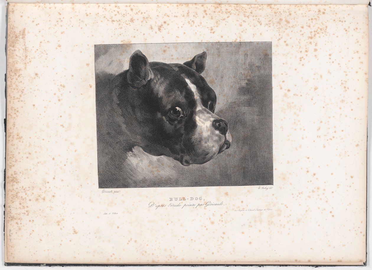 Bull-Dog af Charles Aubry