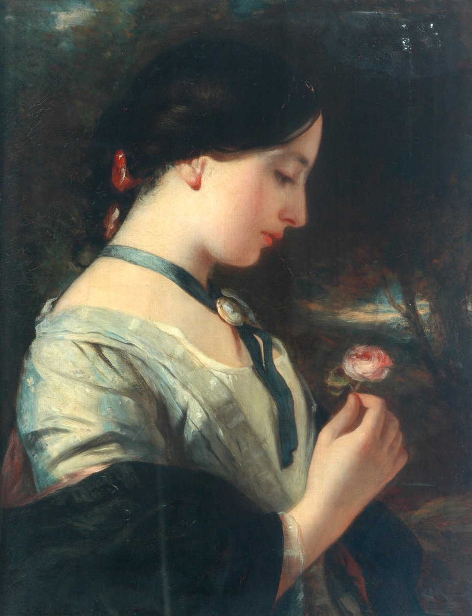En engelsk Rose af Charles Baxter