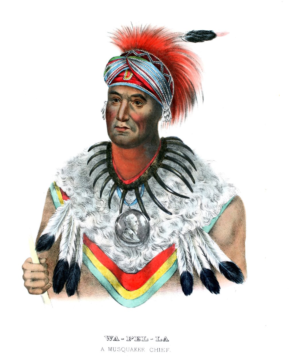 Wapella af Charles Bird (after) King
