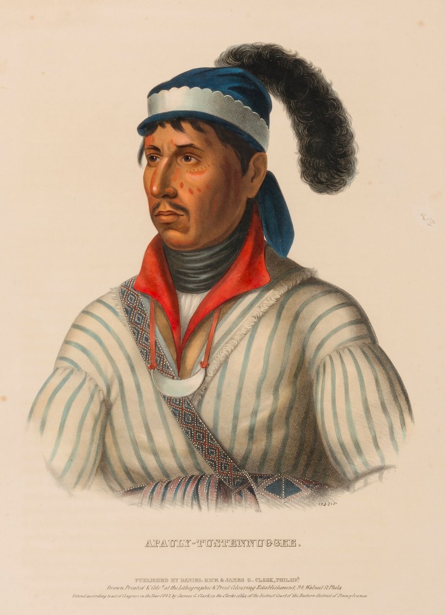 APAULY-TUSTENNUGGEE, fra Historien om indianerstammerne i Nordamerika af Charles Bird King