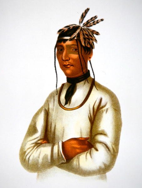 Caatousee af Chippewa-stammen (farve litho) af Charles Bird King