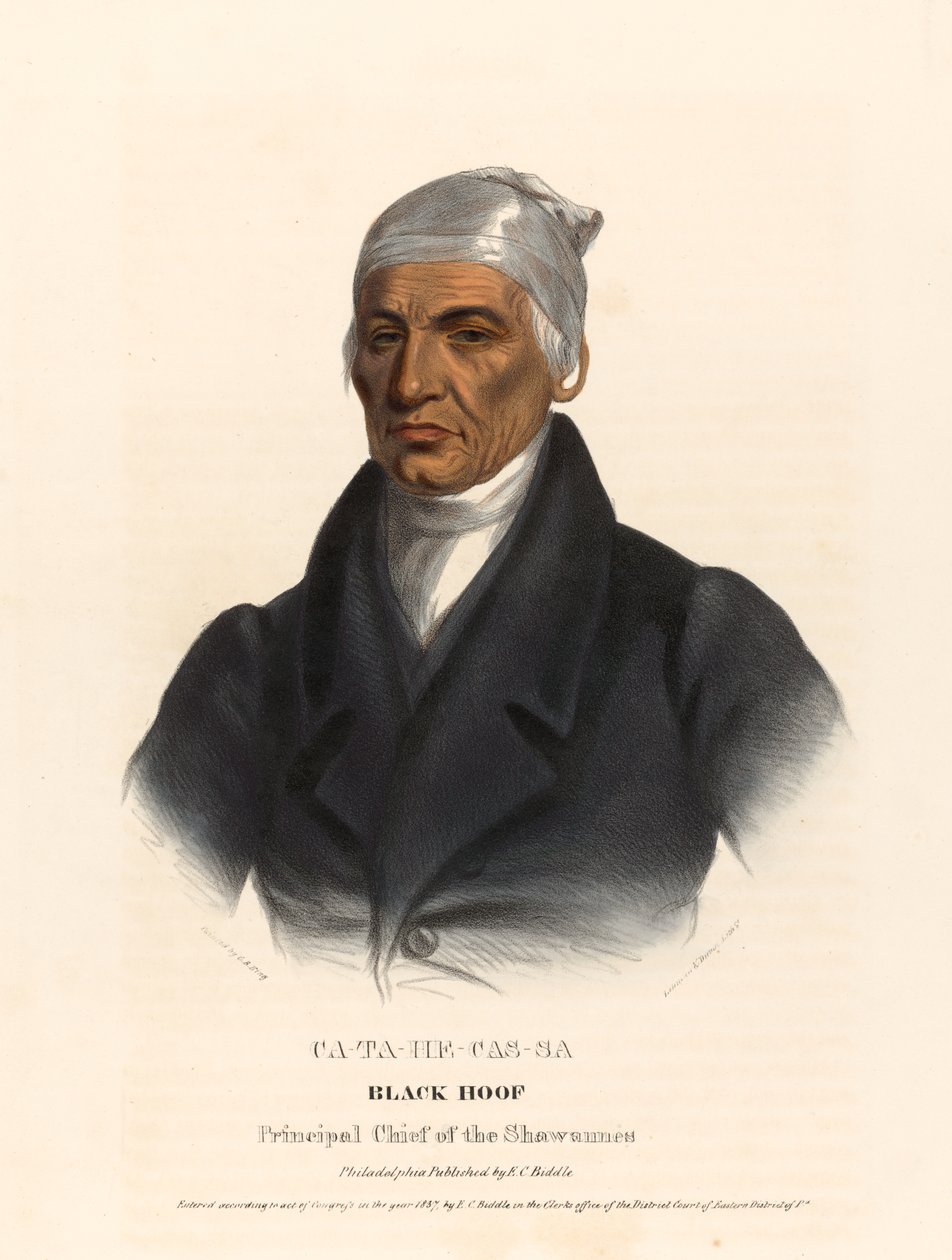 Catahecassa af Charles Bird King