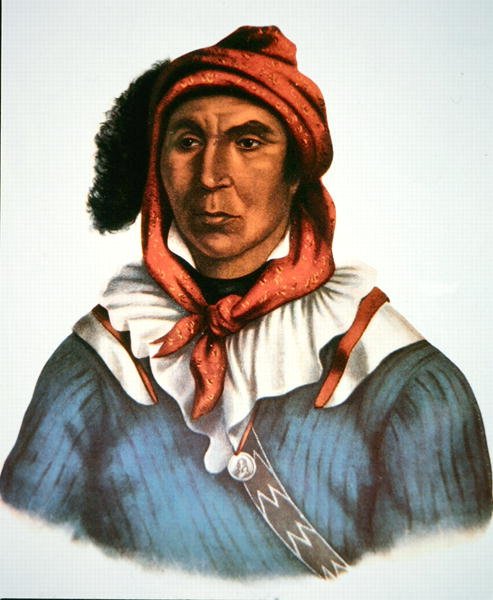 Julcee Mathla af Charles Bird King