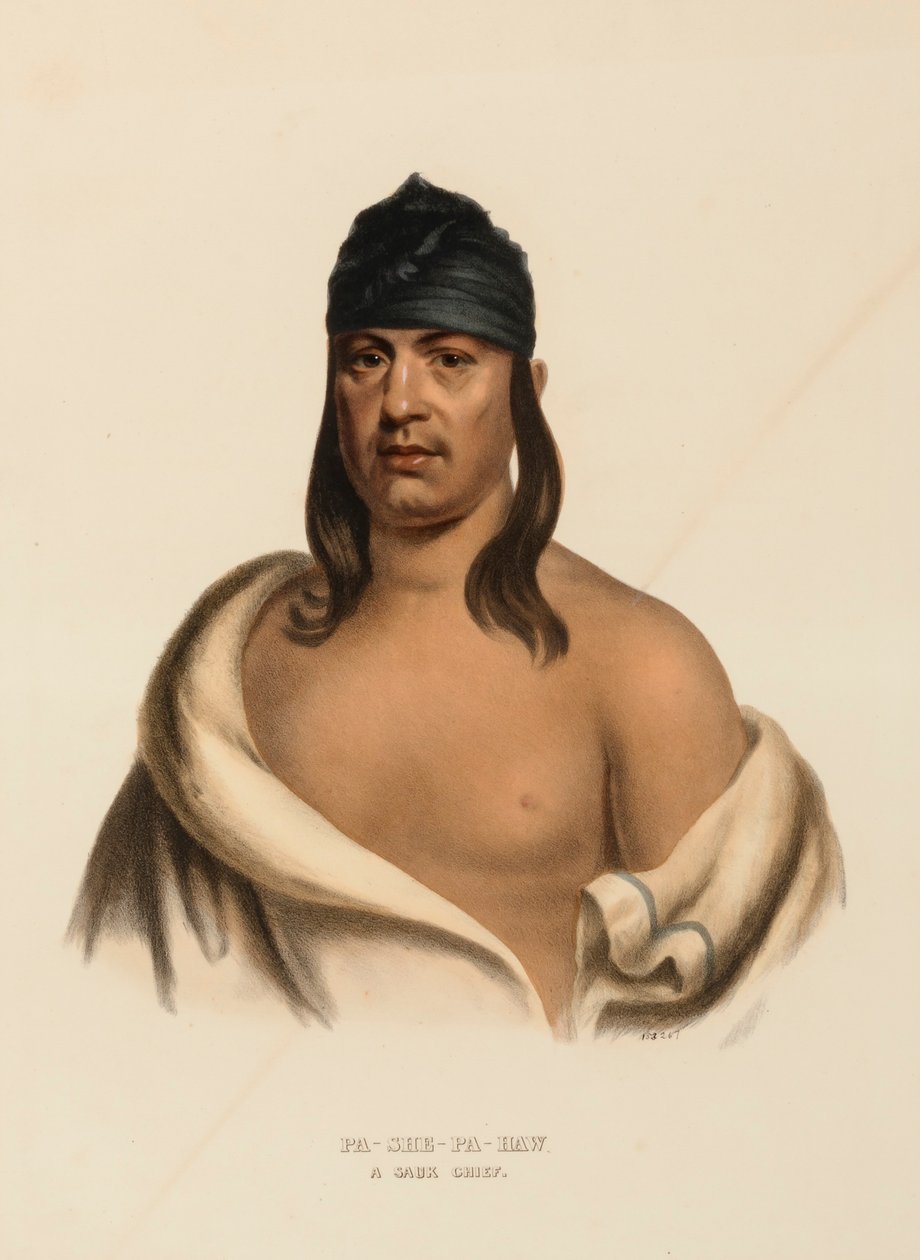PA-SHE-PA-HAW. A SAUK CHIEF, fra History of the Indian Tribes of North America. af Charles Bird King