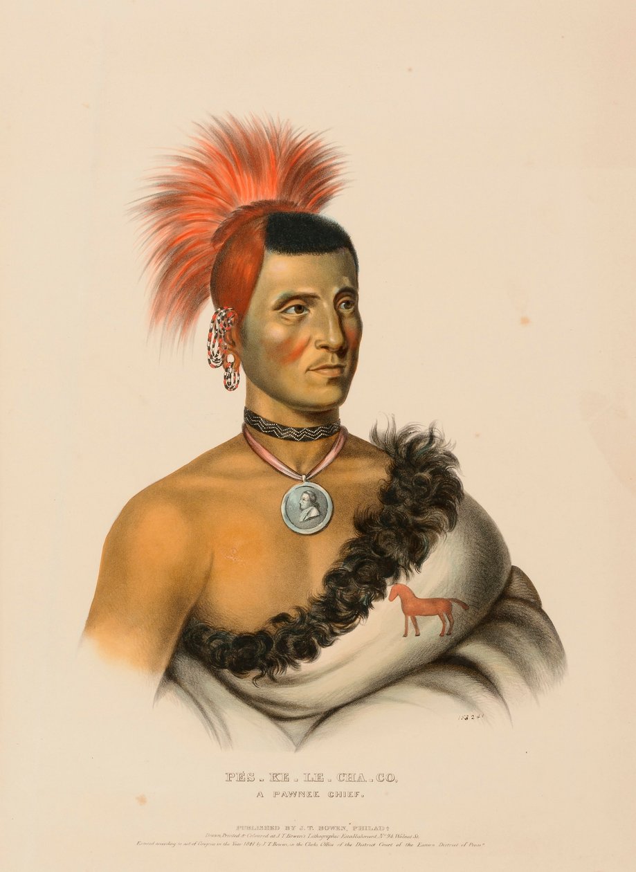 PES-KE-LE-CHA-CO, EN PAWNEE-HØFDE, fra Historien om indianerstammerne i Nordamerika af Charles Bird King