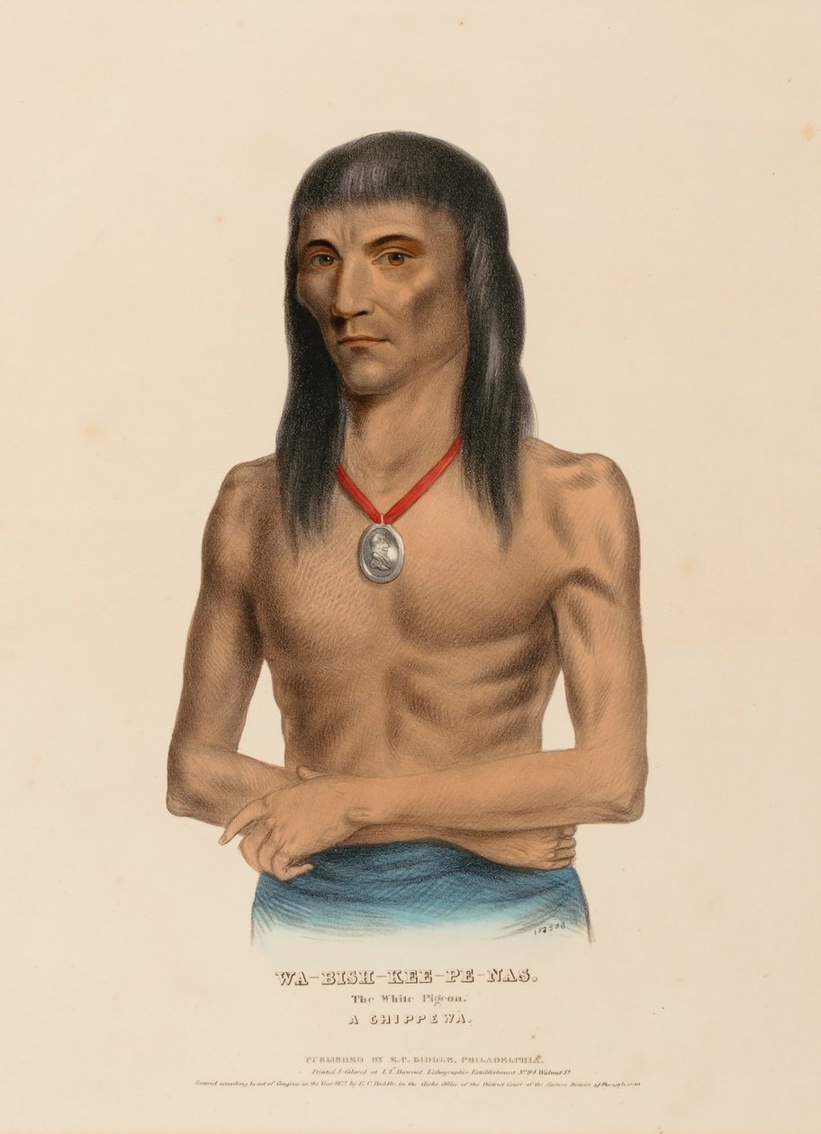 WA-BISH-KEE-PE-NAS. Den hvide due. A CHIPPEWA, fra Historien om indianerstammerne i Nordamerika af Charles Bird King
