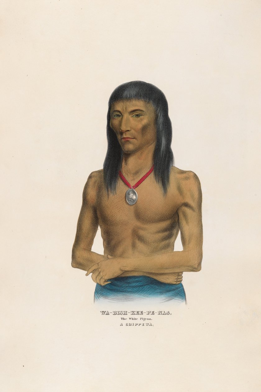Wa-bish-kee-pe-nas - Den hvide due af Charles Bird King