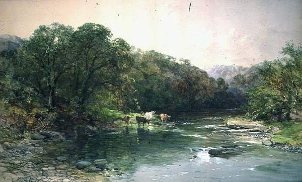 Ved Dee i det nordlige Wales: Kvæg drikker af Charles Branwhite