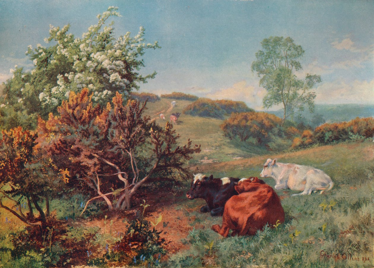 Landskab med kvæg i Nower, Dorking, c1899 af Charles Collins
