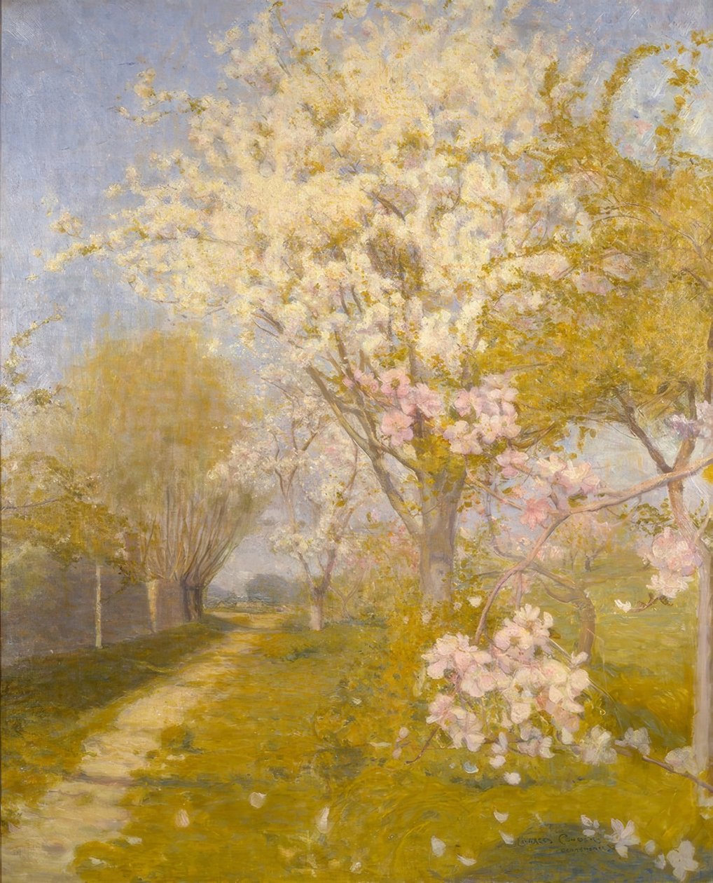Apple Blossom at Dennemont af Charles Edward Conder