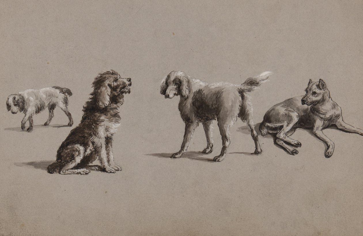 Undersøgelser af hunde (pen, pensel, blæk og gouache på papir) af Charles Cooper Henderson