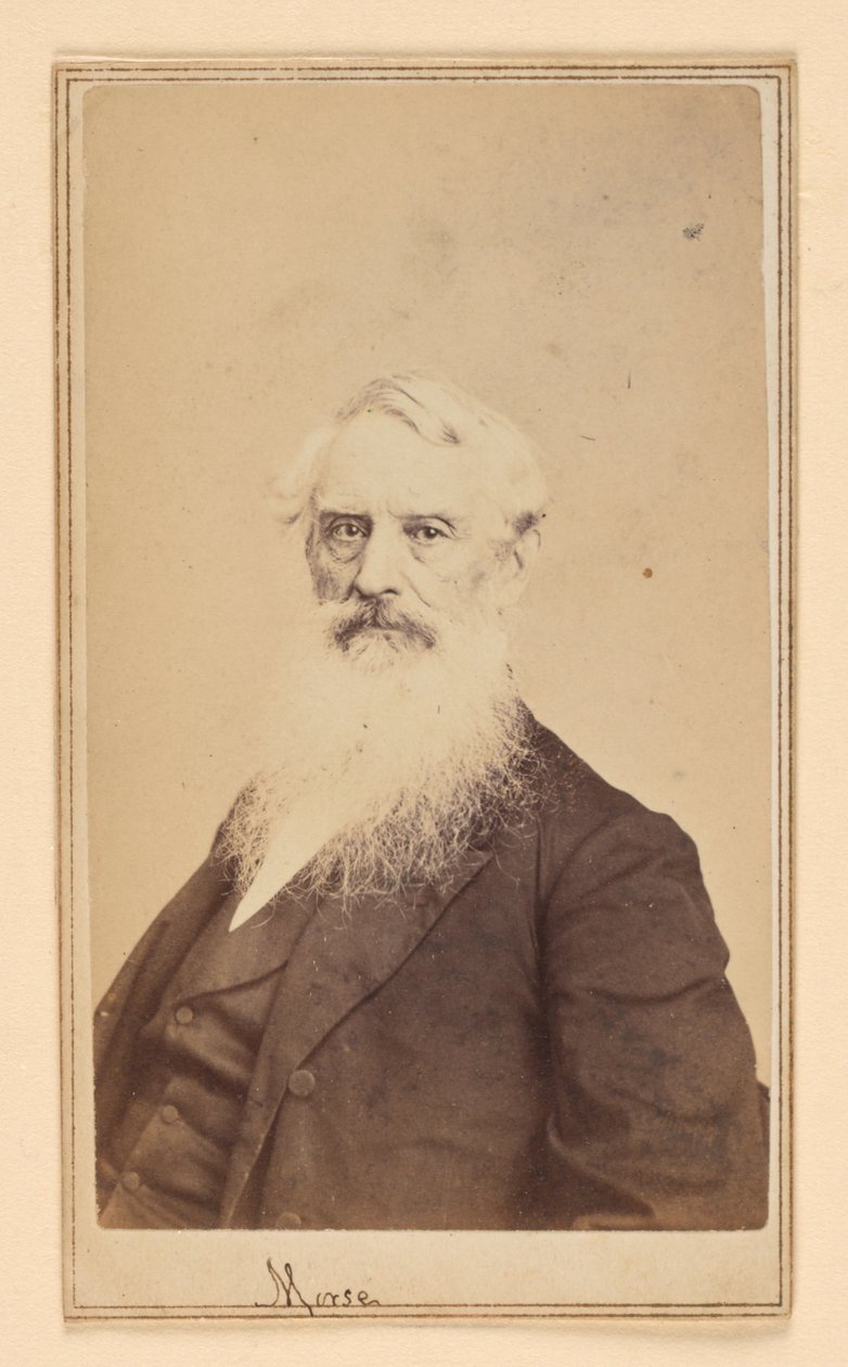 Samuel F. B. Morse af Charles DeForest Fredricks