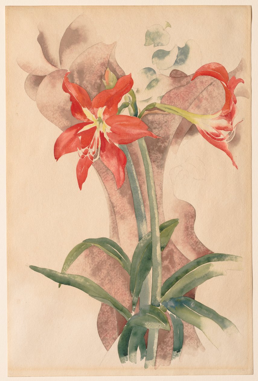 Amaryllis af Charles Demuth