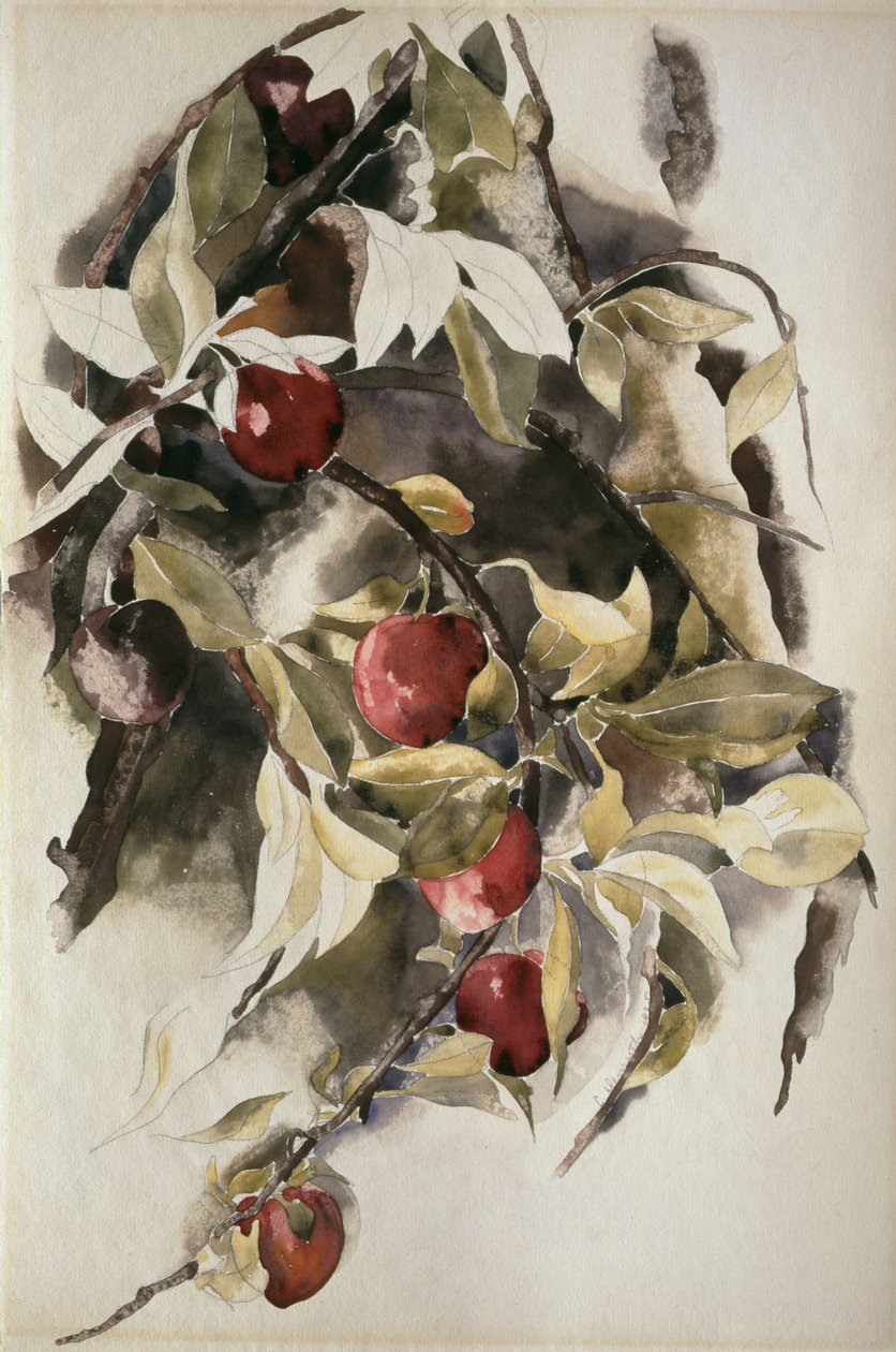 Blommer, 1925 af Charles Demuth