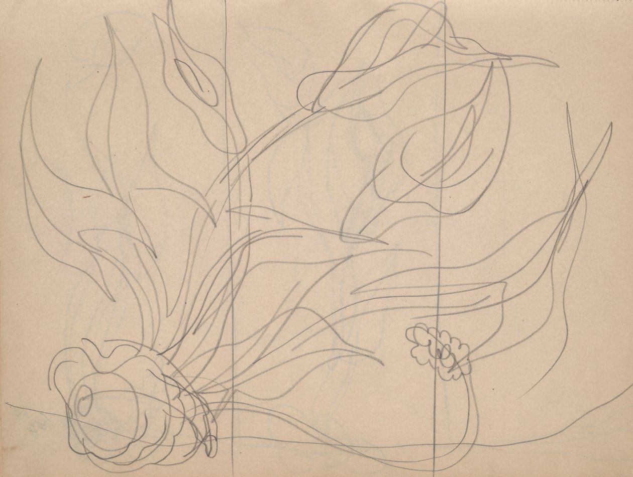 Skitsebog: 36 sider i alt, indeholdende 28 skitser (inklusive studier for Demuth af Charles Demuth