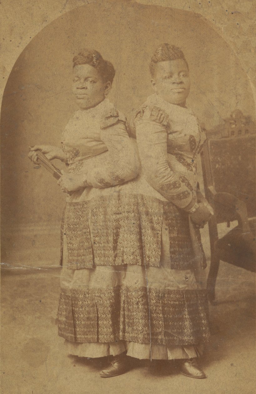 Albummprint af Millie og Christine McCoy, 1880